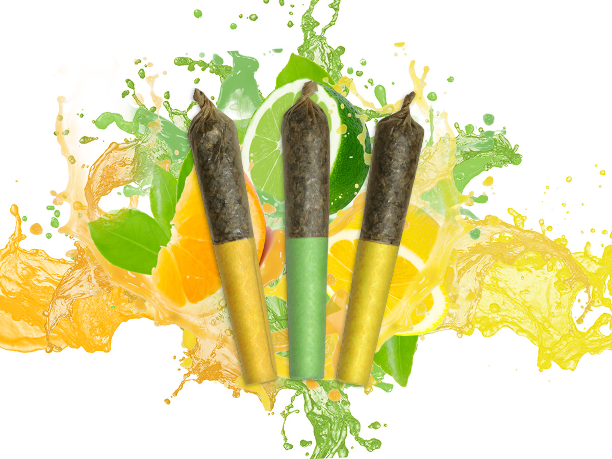 Citrus Special Resin Infused Pre-rolls Feature Image