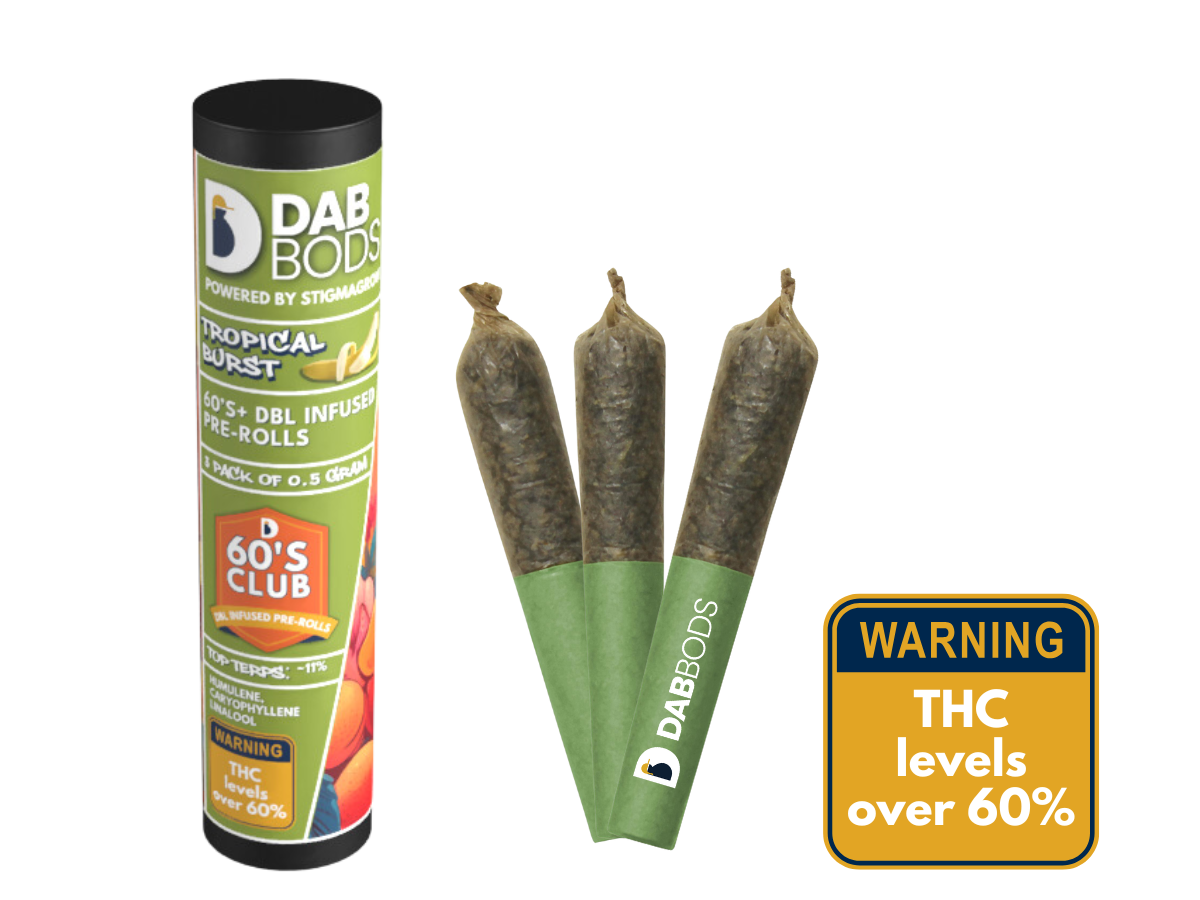 Tropical Burst Dab Bods 60's Dbl Infused Pre Rolls