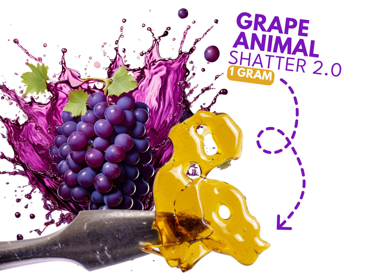 Grape Animal 2.0